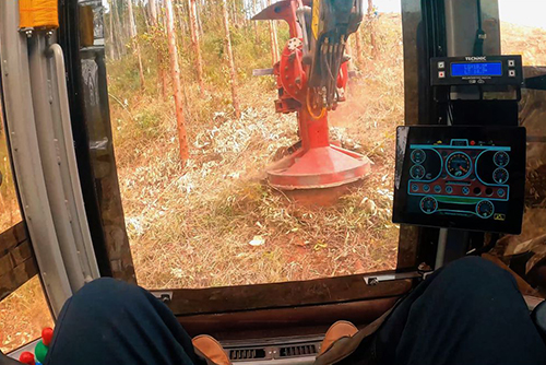 Vista da cabine de feller buncher durante corte de árvores